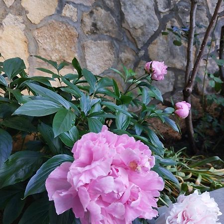 Da Noi Due Bed and Breakfast Bergamo Buitenkant foto
