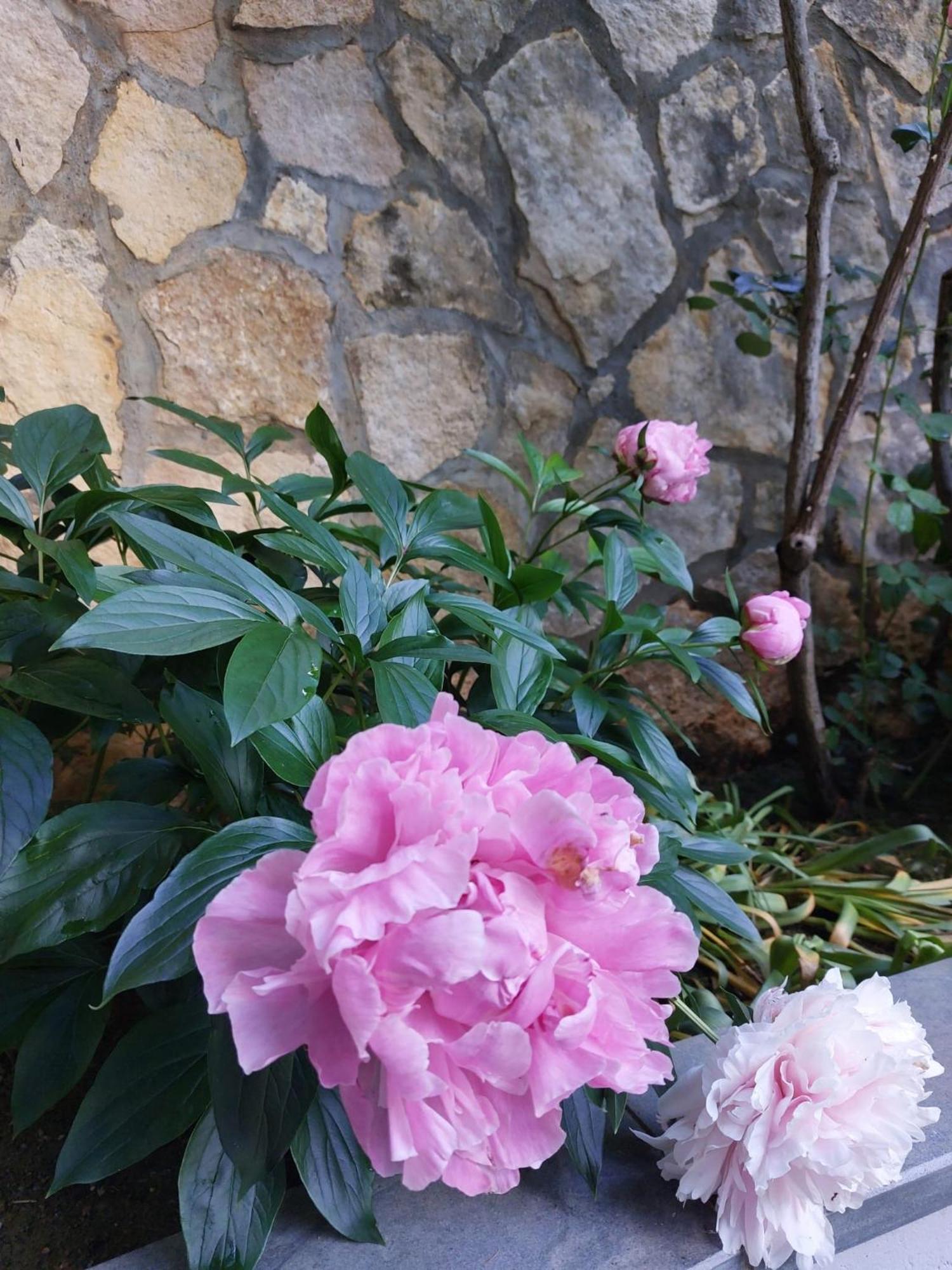 Da Noi Due Bed and Breakfast Bergamo Buitenkant foto